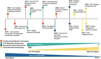 Long-Reads-Based Metagenomics in Clinical Diagnosis With a Special Focus on Fungal Infections